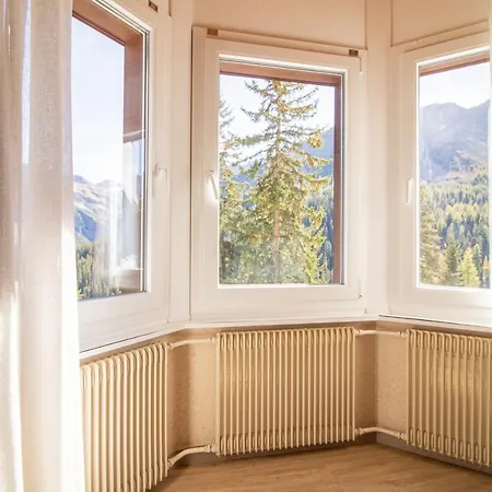 Miraflor Carmen - * Ароза